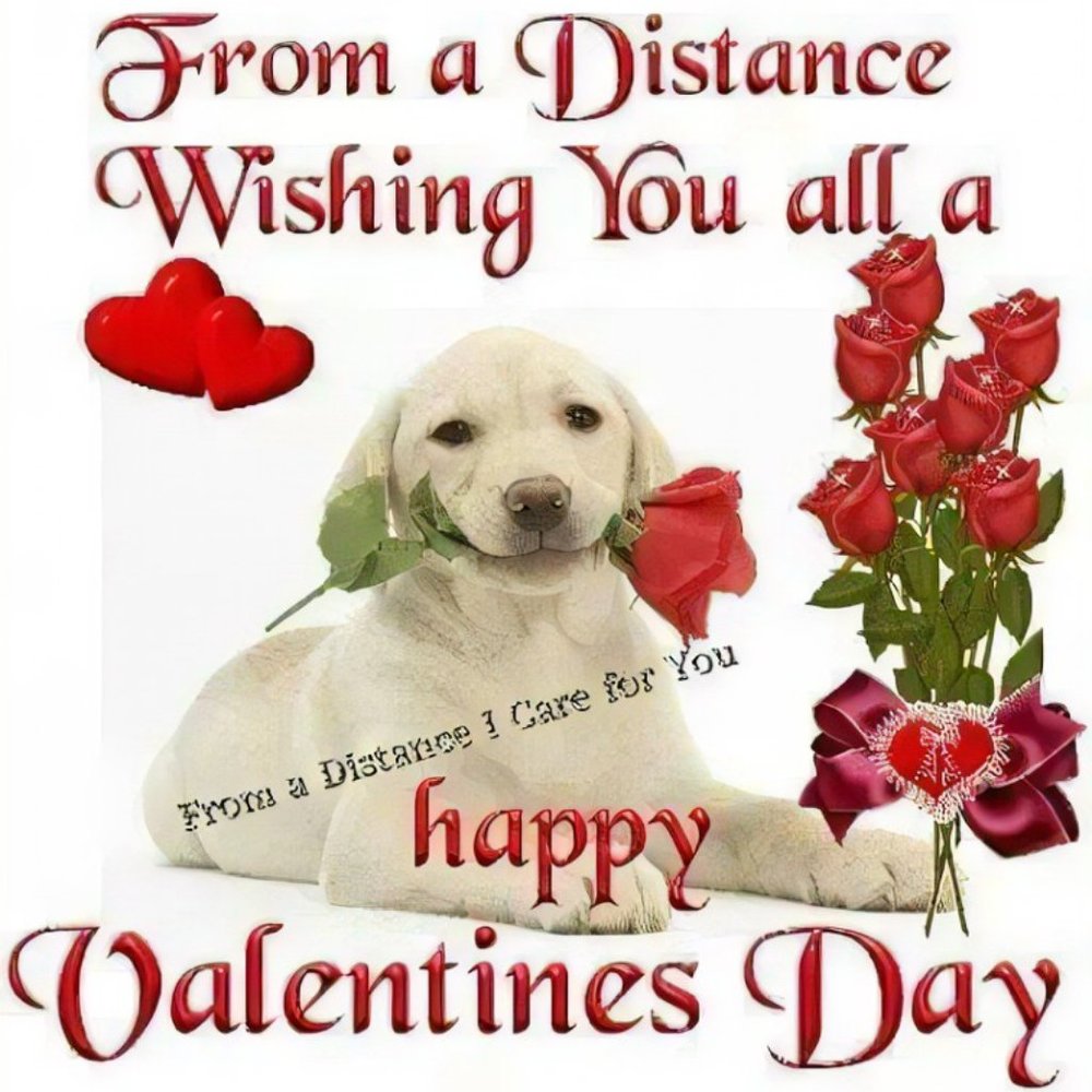HAPPY VALENTINE DAY! - Picture 3 of 6